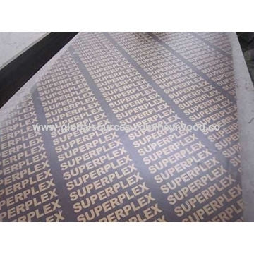 SUPER PLEX. 122cm*244cm*18mm