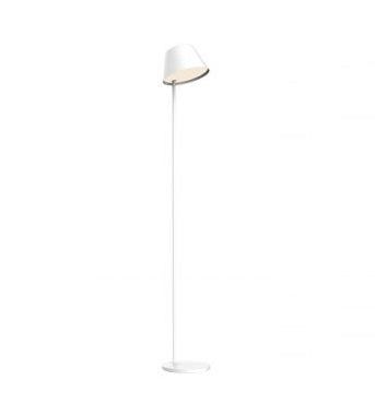 Smart Floor Lamp