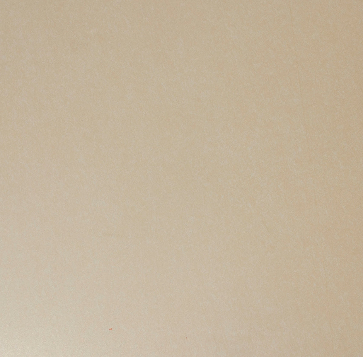 Gres Porcelain Glazed Matt Finish Loft Beige Base 61.5X61.5